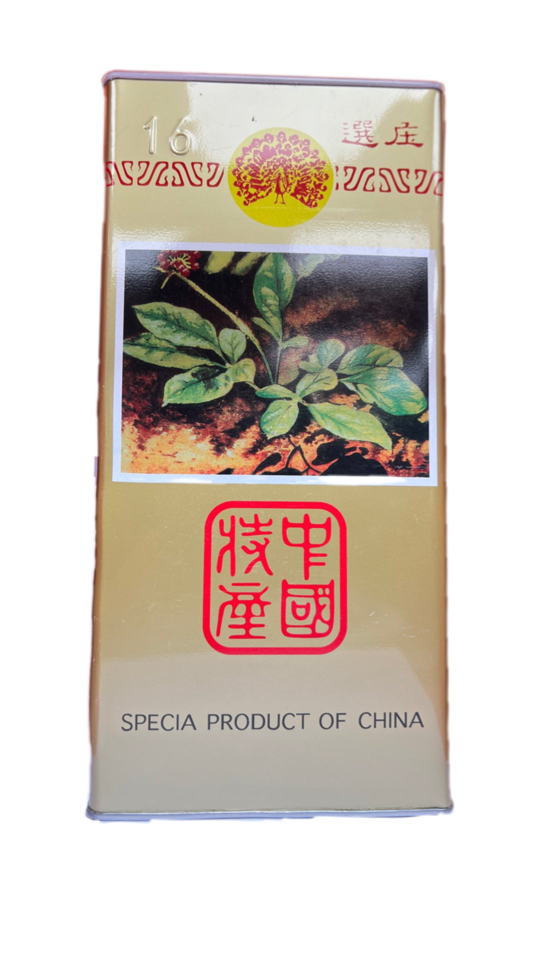 石柱參16 600g