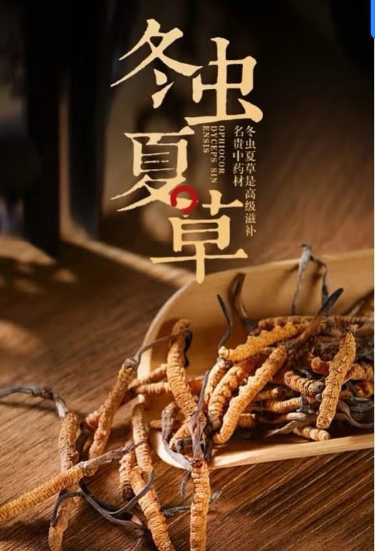 冬蟲草3000蓧(0.5OZ)