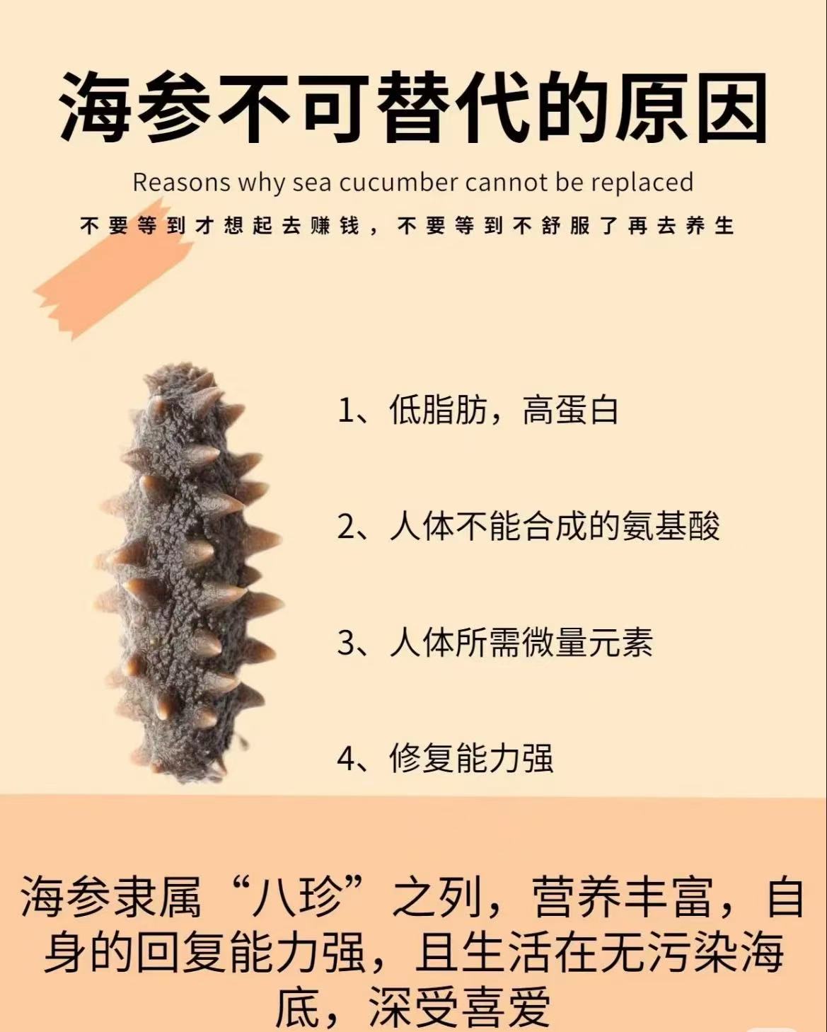 南美長刺參(45-52頭)(1084)