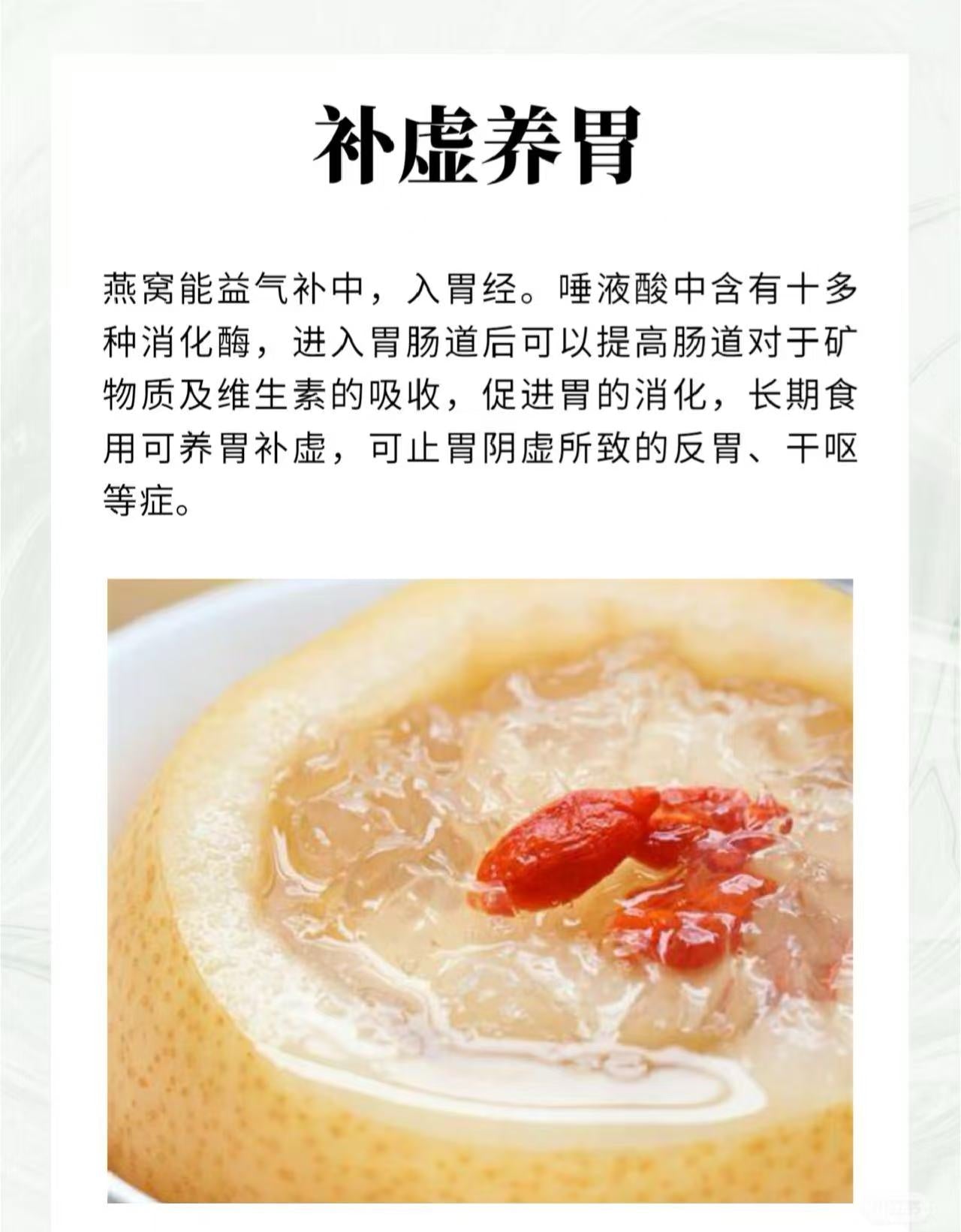 DYNASCY 大燕片 250g