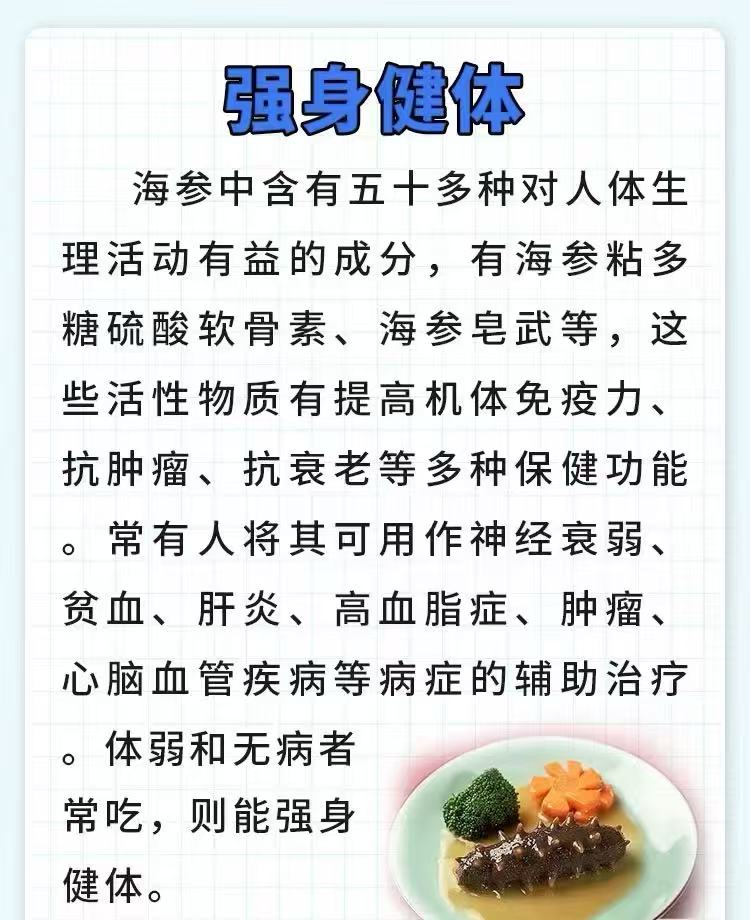 墨西哥腰參 (1062)