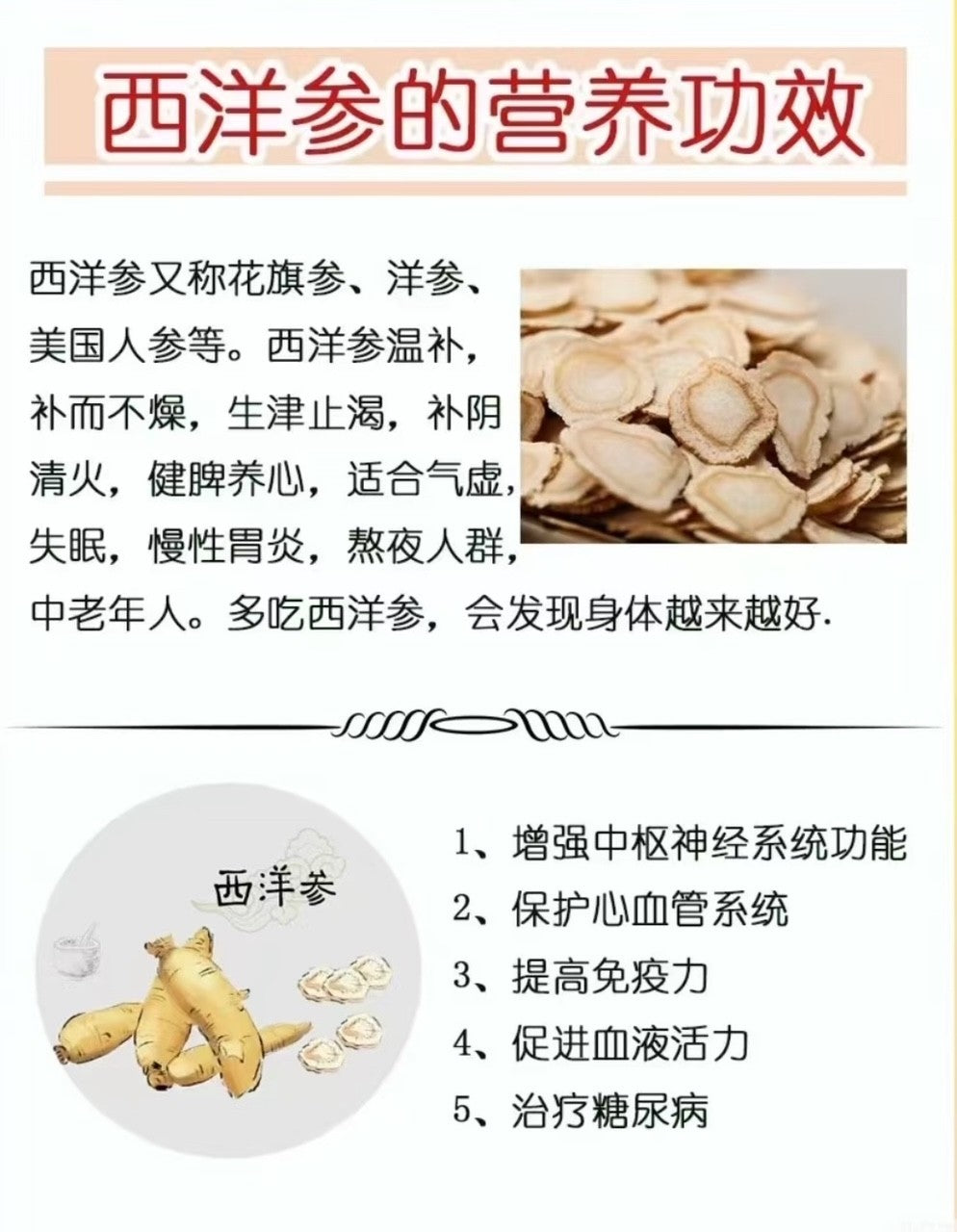 美國花旗參