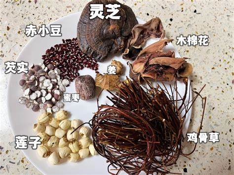 東龍雞骨草