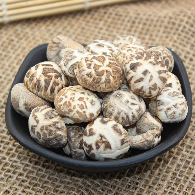 原木白花菇