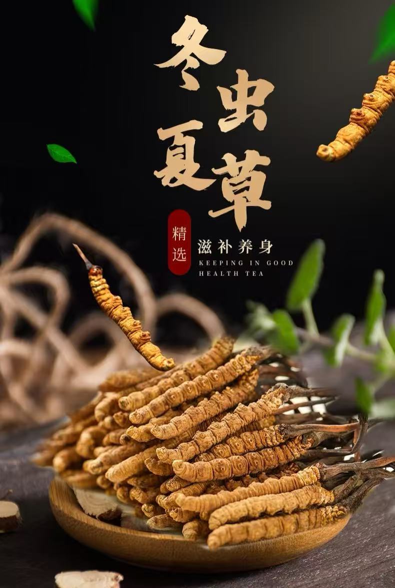 冬蟲草2200蓧（1OZ）