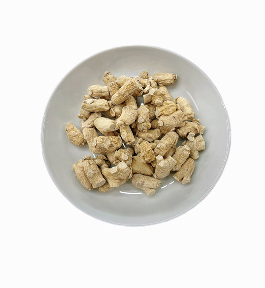 美國花旗參泡 (1016)
