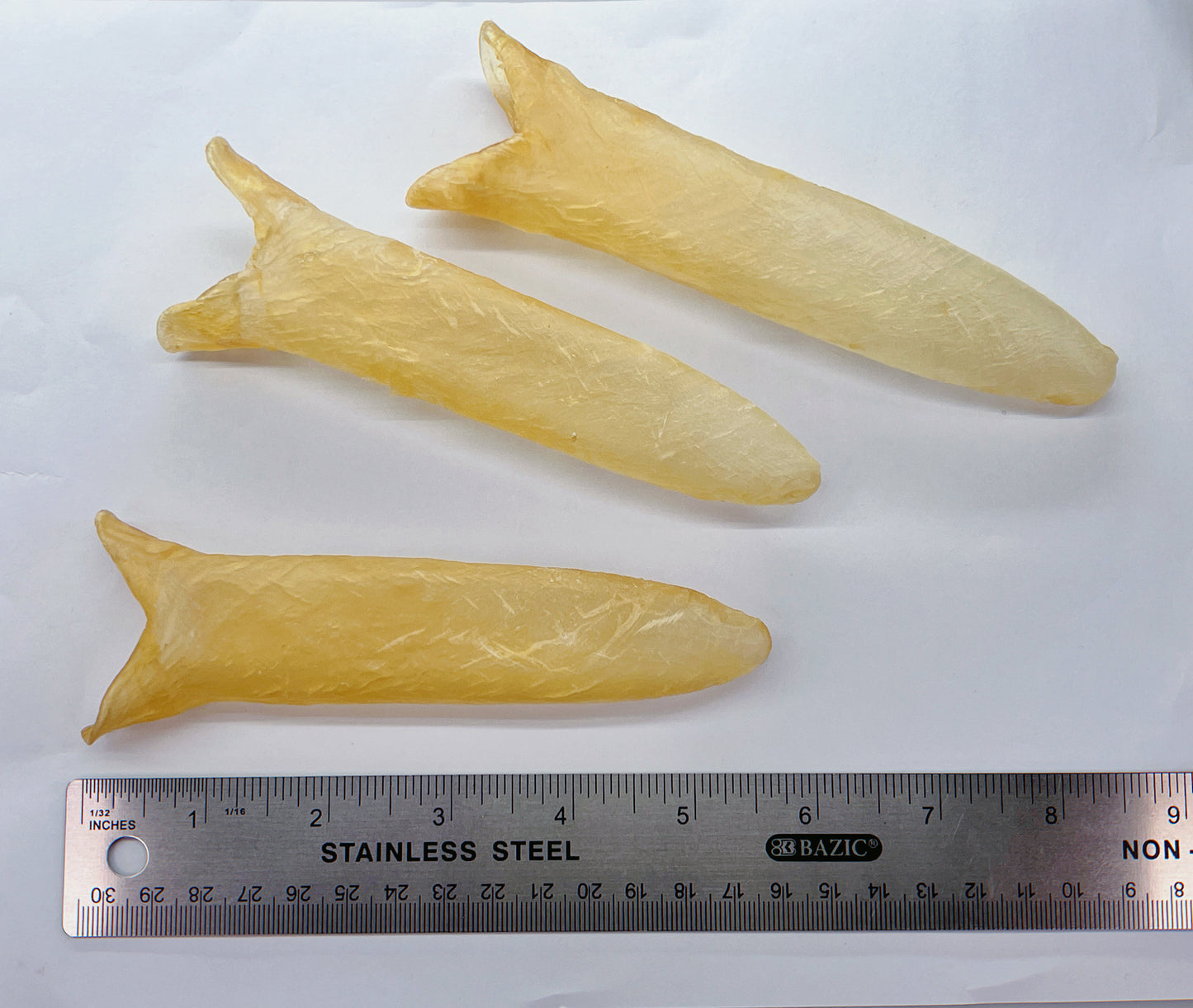 黃花膠30頭(3050)