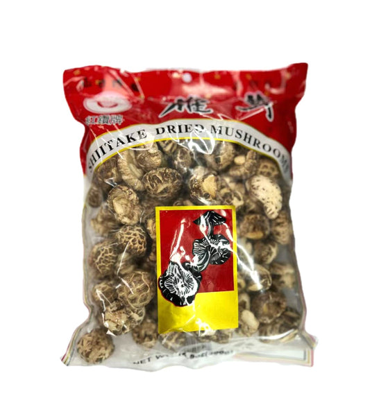 紅鑽牌茶花菇