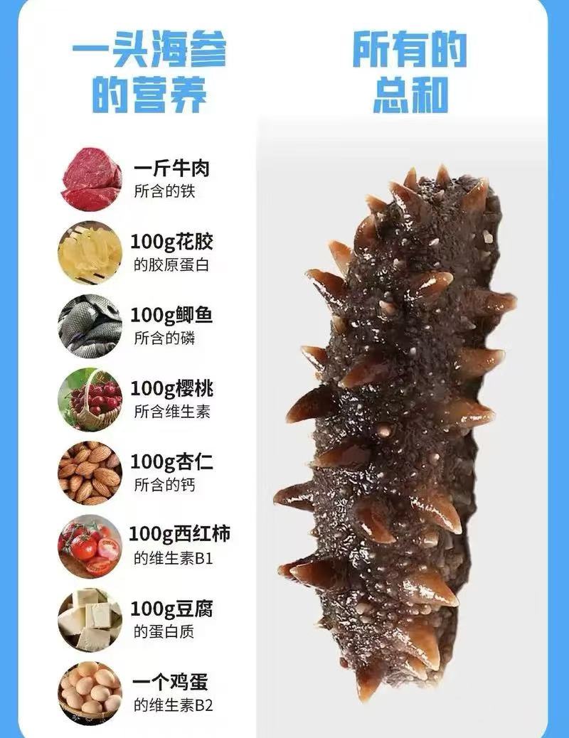 黄玉参 30-33頭  1041