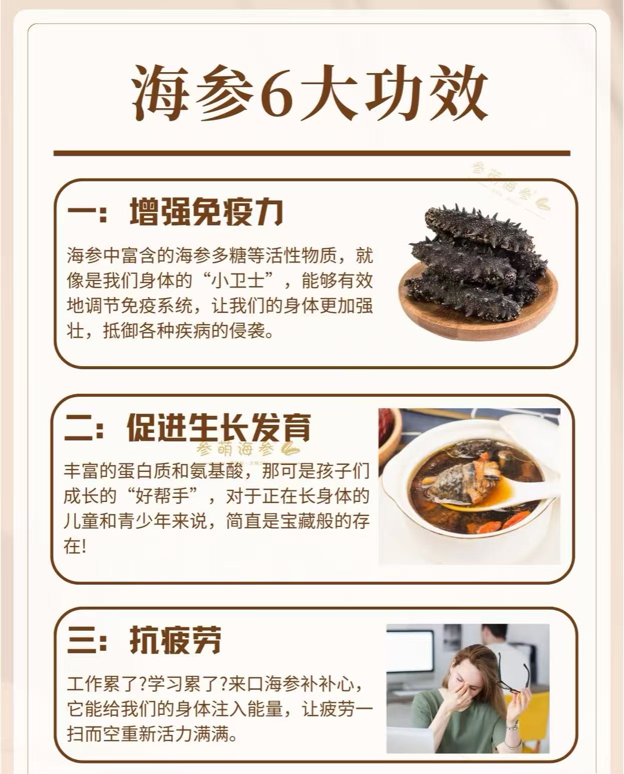 南美長刺參 28-33頭（01085）