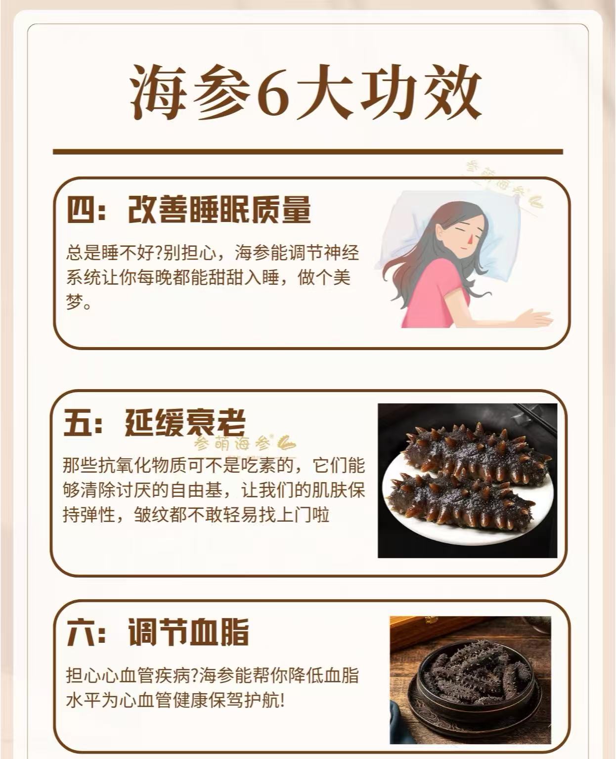 南美長刺參 28-33頭（01085）