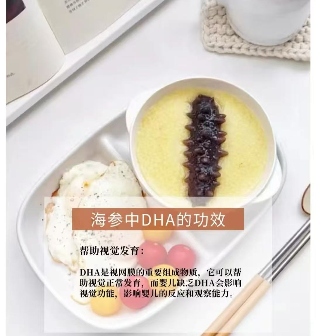 南美長刺參(1086)