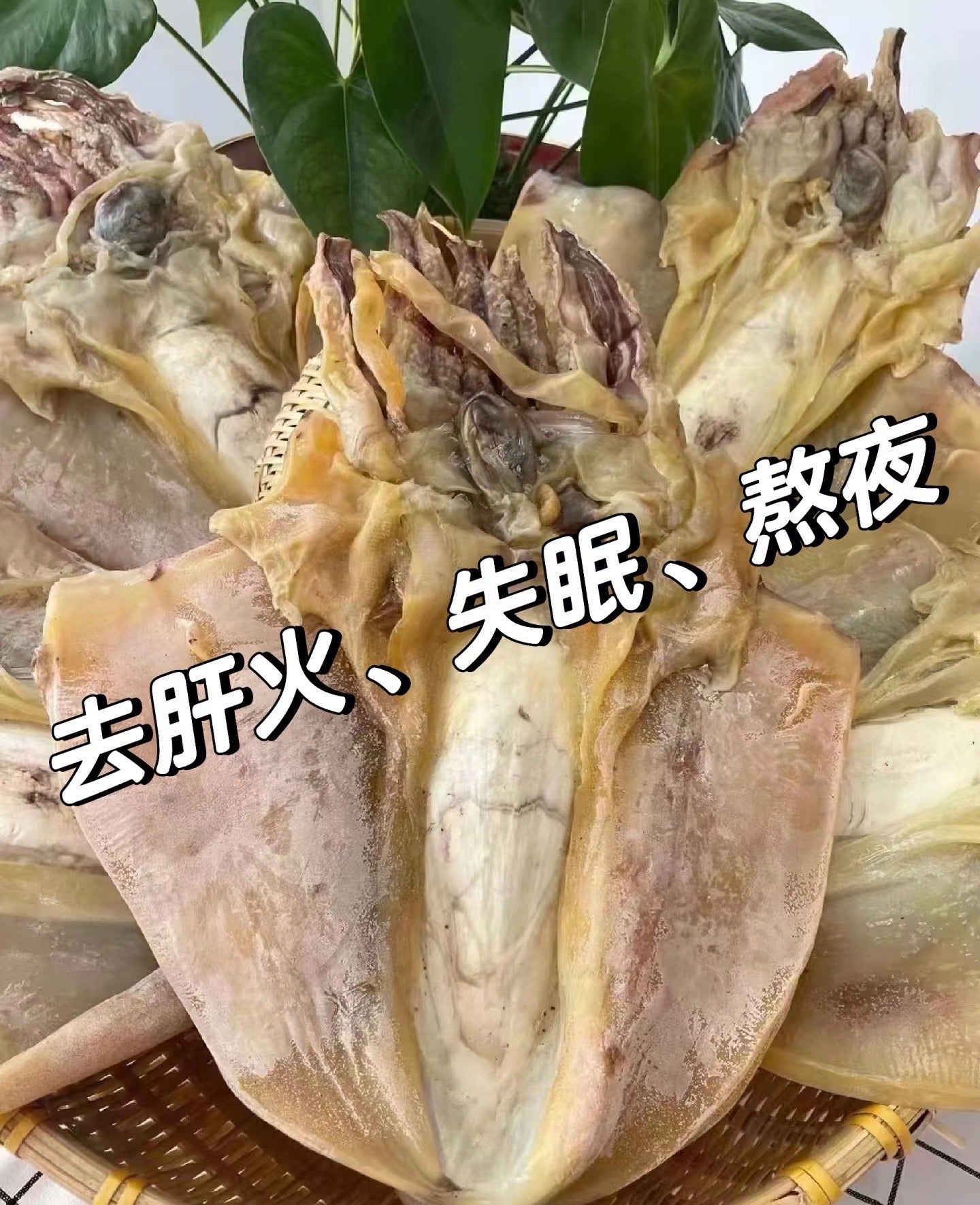 大墨魚（3028）