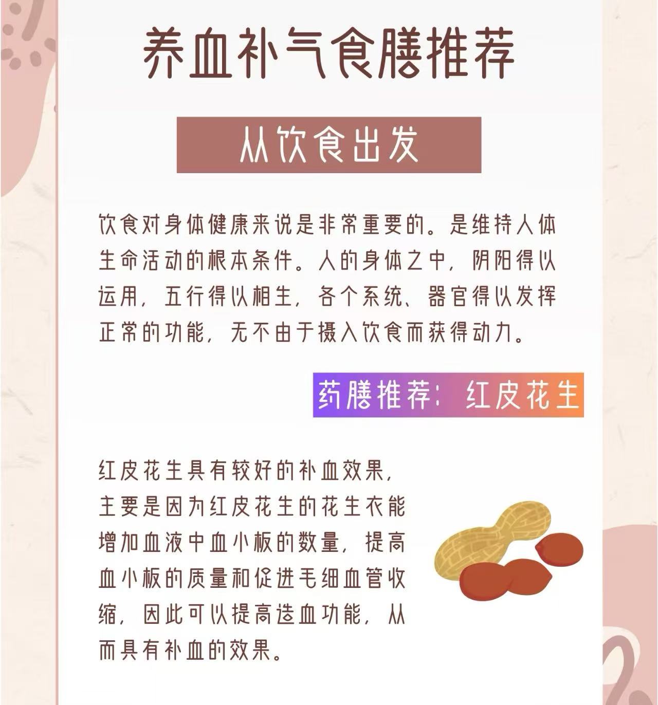 大地粮仓大粒紅皮花生