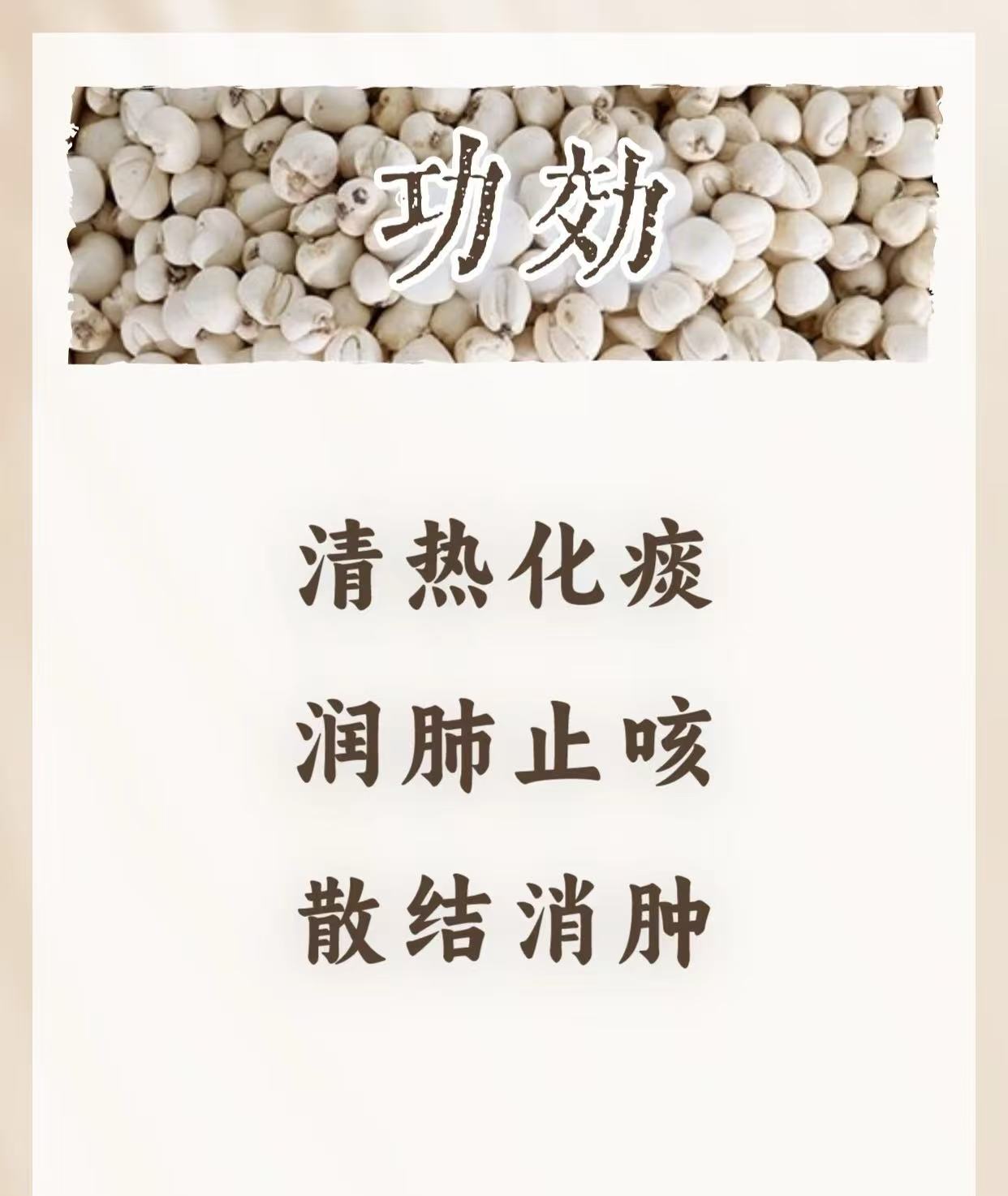精選珍珠川貝
