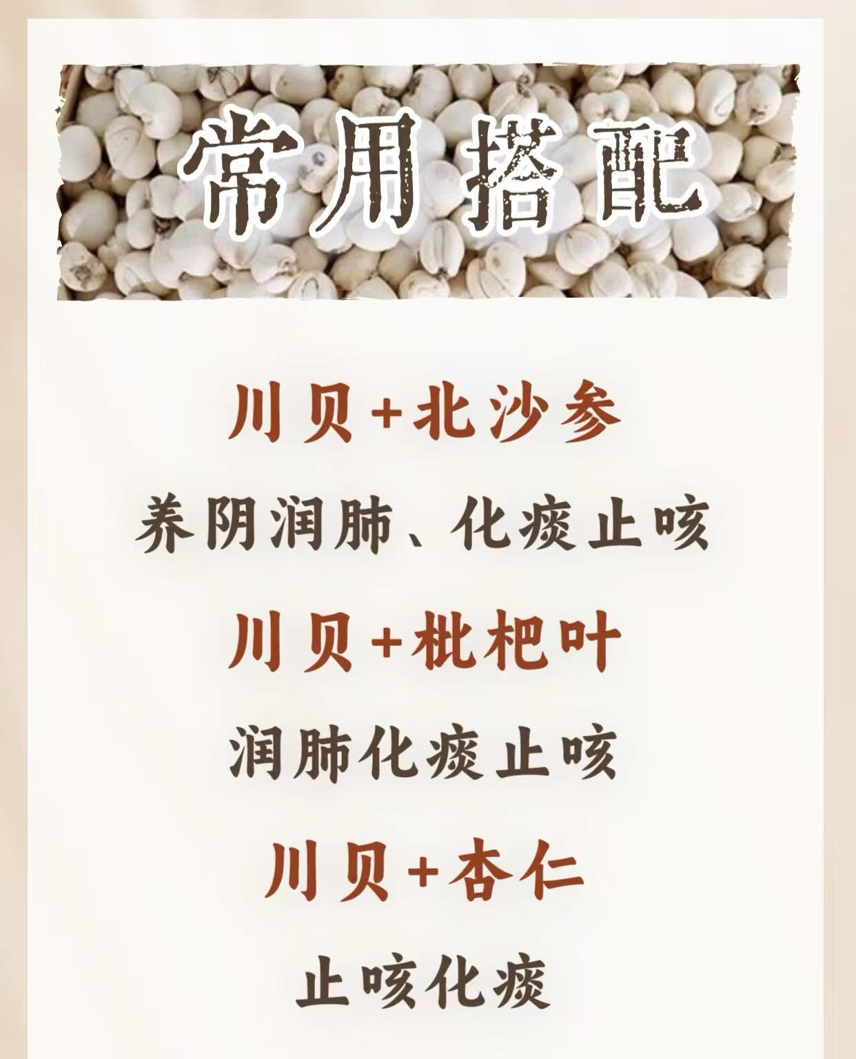 精選珍珠川貝