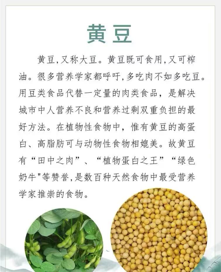 隨園（有機）黃豆