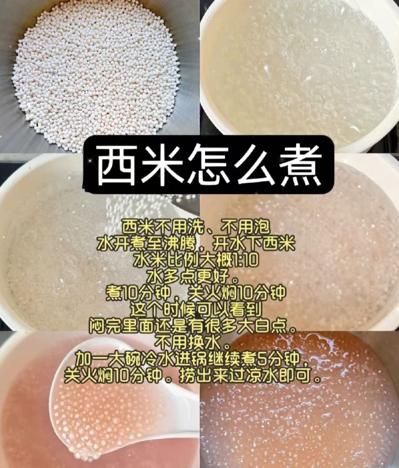 西米 黃夫人（小粒）