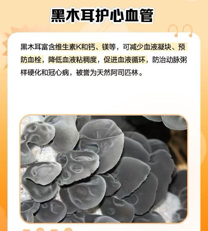 東龍單片雲耳