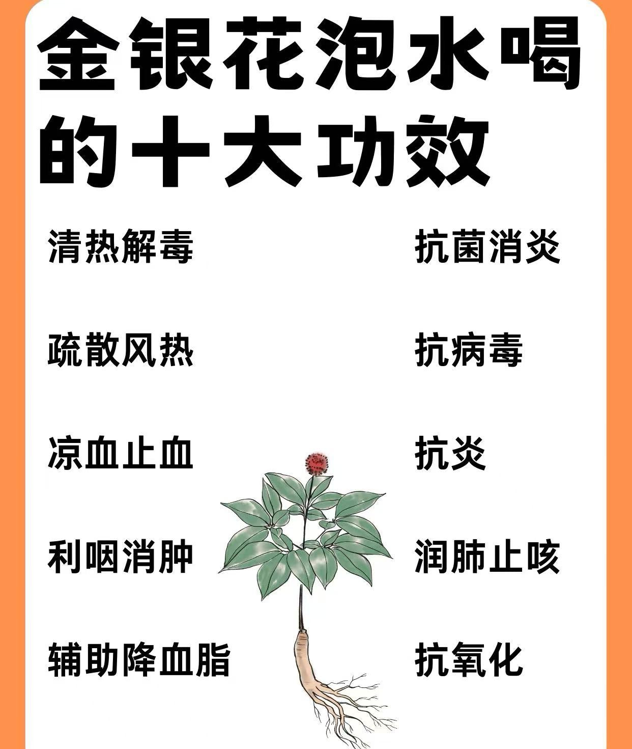 特級金銀花